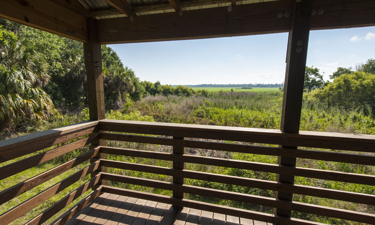 Observation Tower overlook at Orange Creek Restoration Area