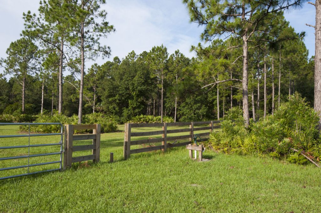 Parking area at Palm Bluff Conservation Area