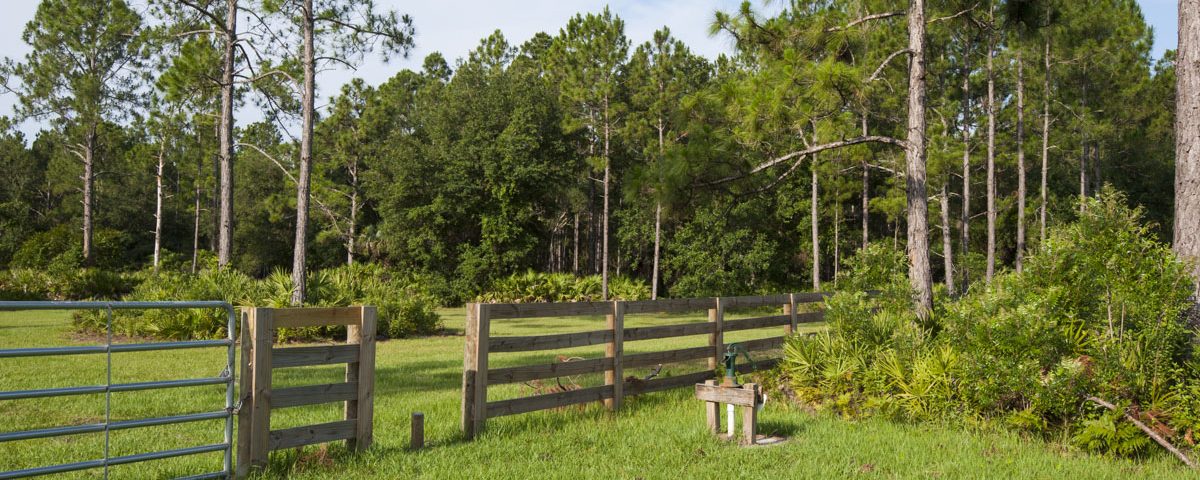Parking area at Palm Bluff Conservation Area