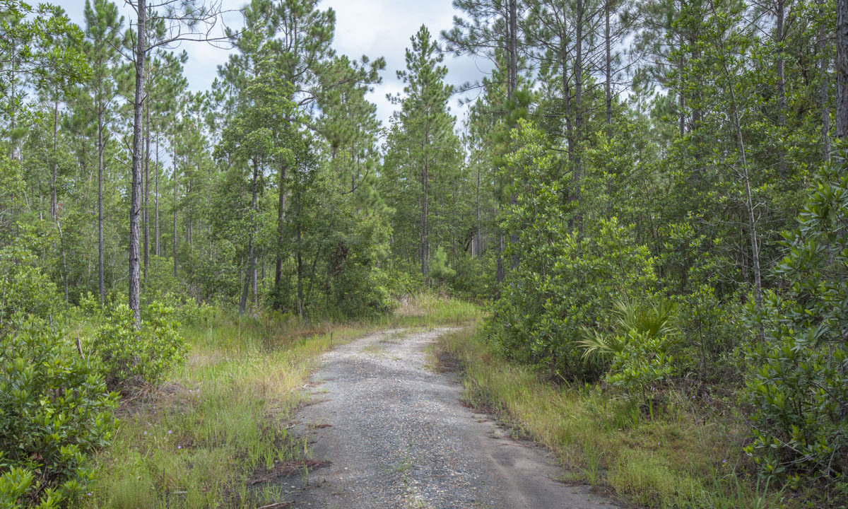 Trail at Thomas Creek Conservation Area