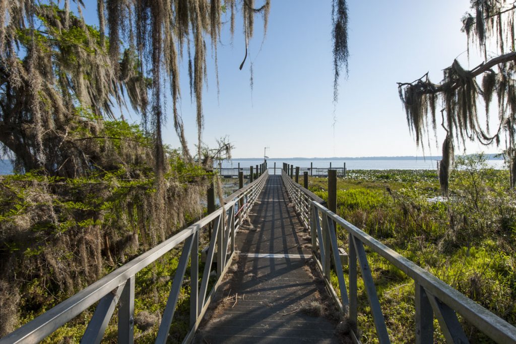 Fishing dock at Lochloose Wildlife Conservation Area