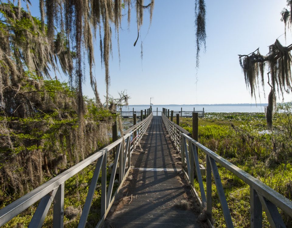 Fishing dock at Lochloose Wildlife Conservation Area