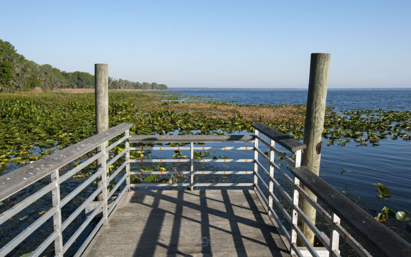 Viewing/fishing pier on Lochloosa Lake - Lochloosa Wildlife Conservation Area Fishing dock at Lochloose Wildlife Conservation Area