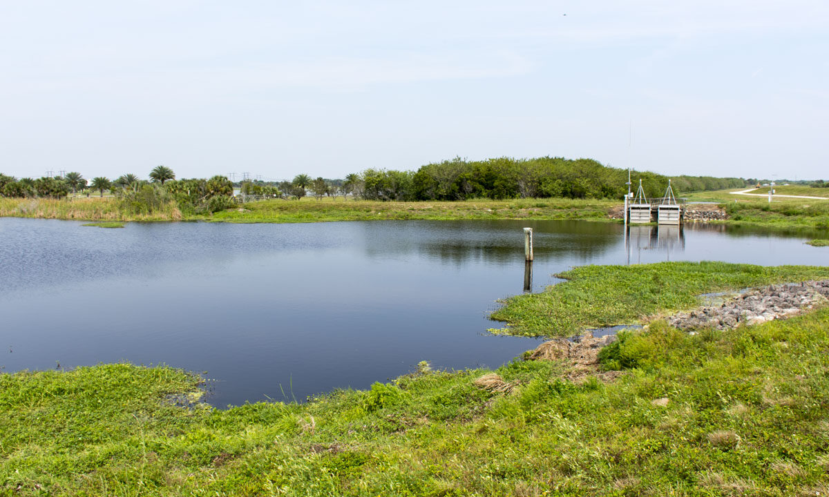 Waterway at Fort Drum Marsh Conservation Area