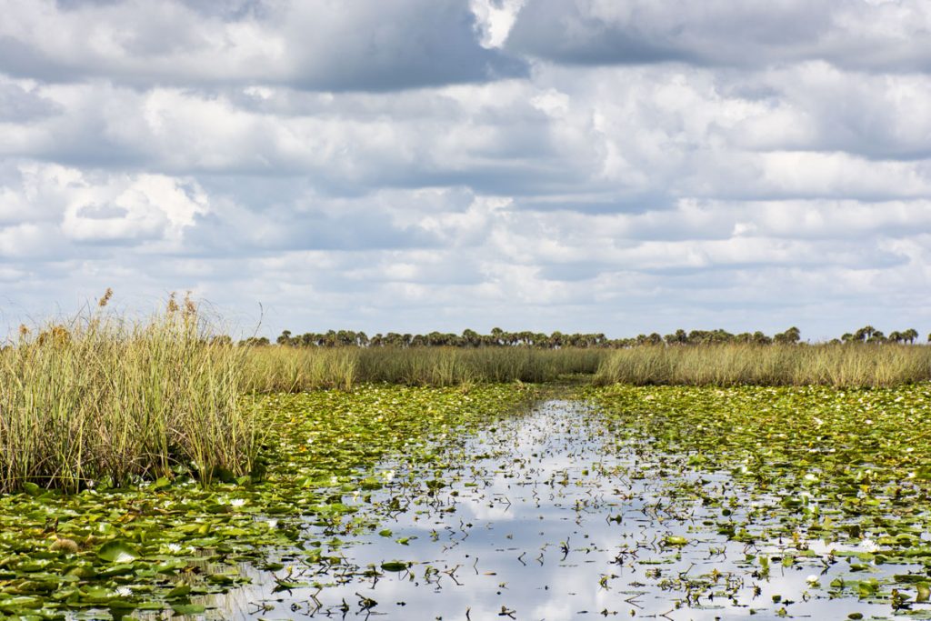 Open marsh with airboat trail at Three Forks Marsh Conservation Area