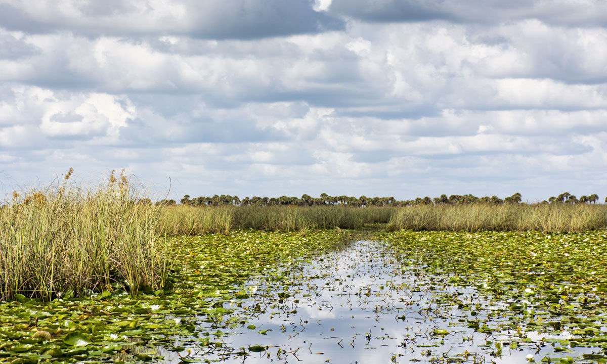 Open marsh with airboat trail at Three Forks Marsh Conservation Area