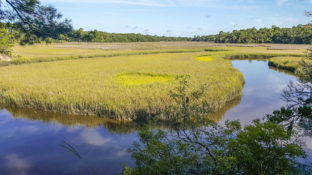 Moses Creek winding through a salt marsh