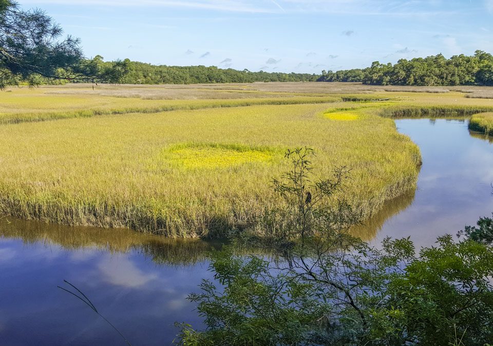 Moses Creek winding through a salt marsh