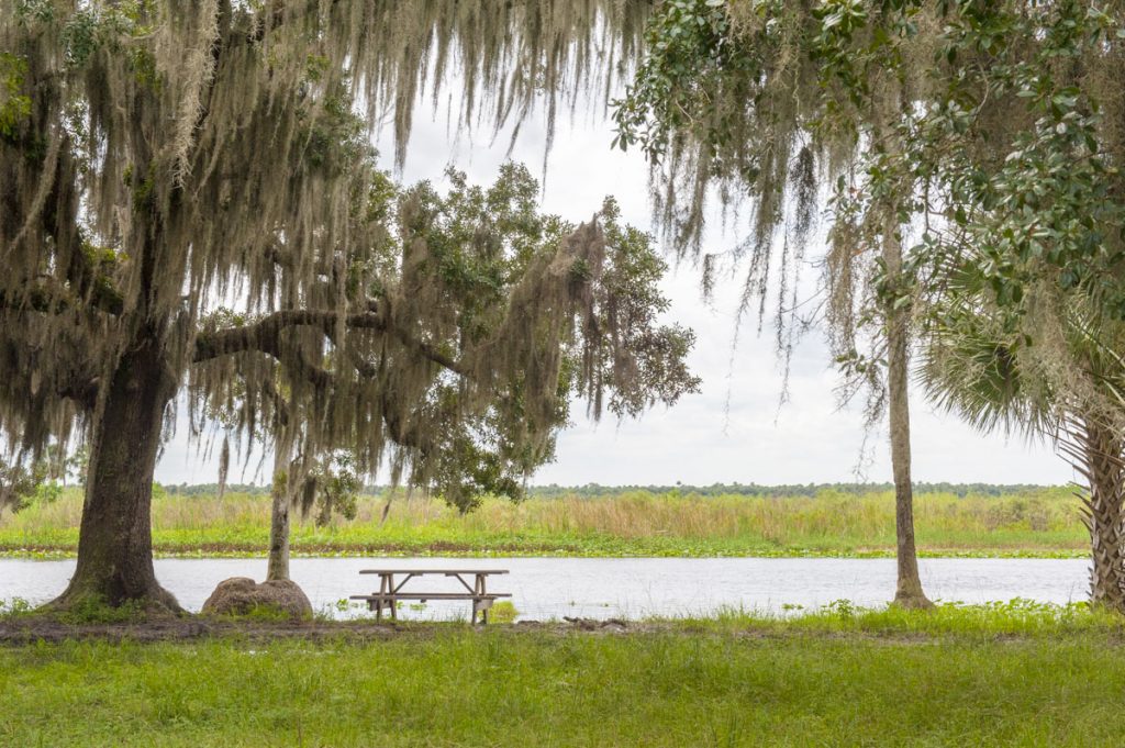 Picnic area along the St. Johns River