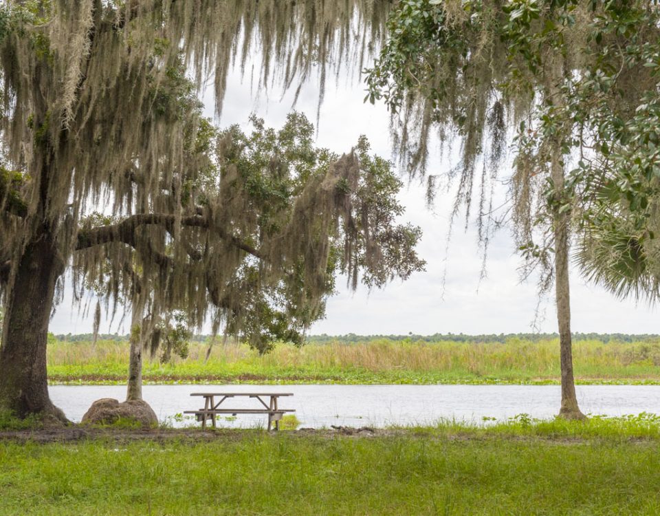 Picnic area along the St. Johns River