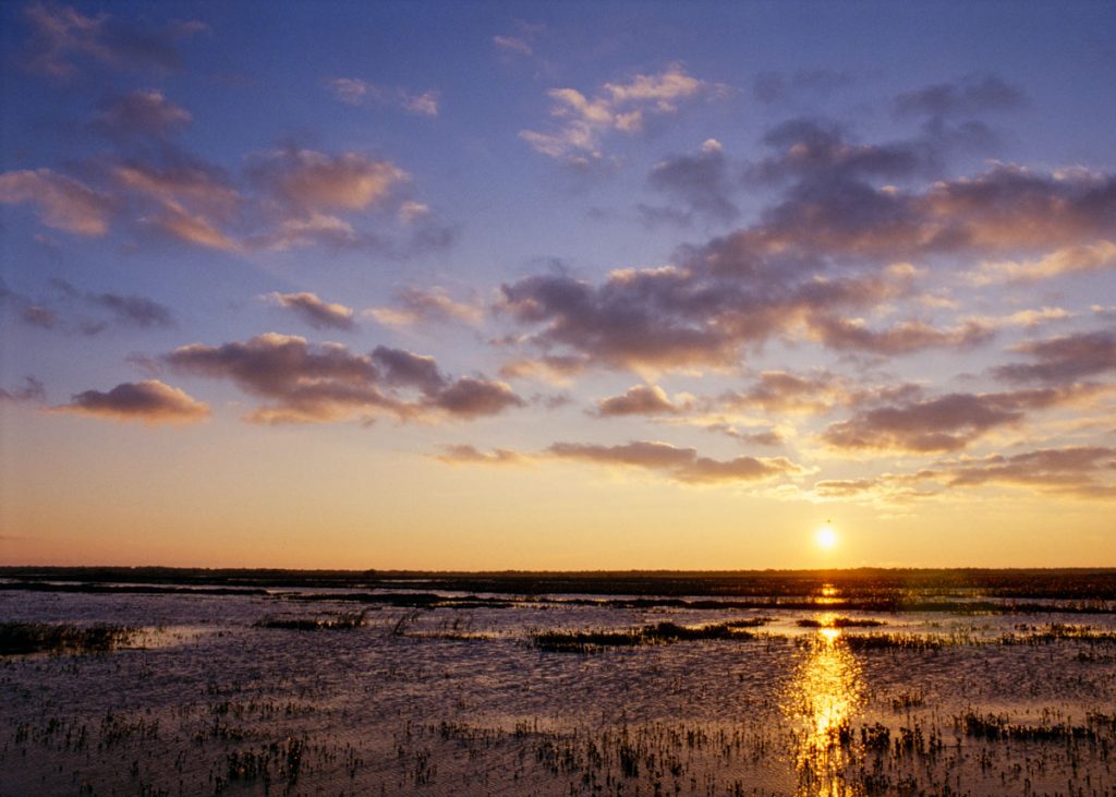 Sunrise over Lake Jesup wetlands