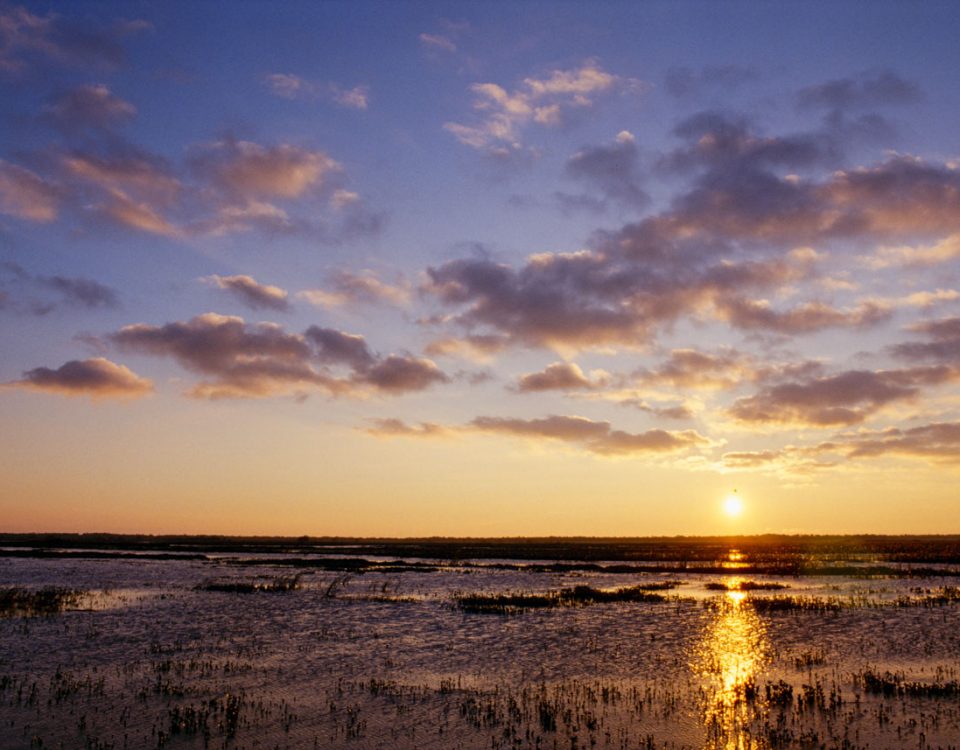 Sunrise over Lake Jesup wetlands