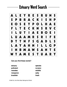 Estuary word search game