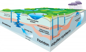 Cutaway graphic of the aquifer system in Florida