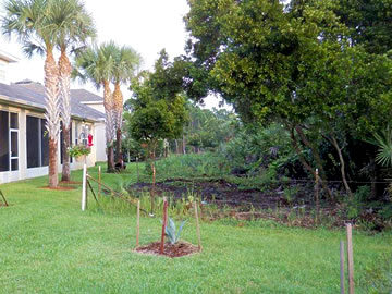 encroachment2 Cleared area behind a house