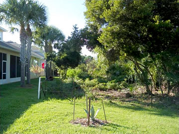 encroachment3 Open area behind a house with new vegitation