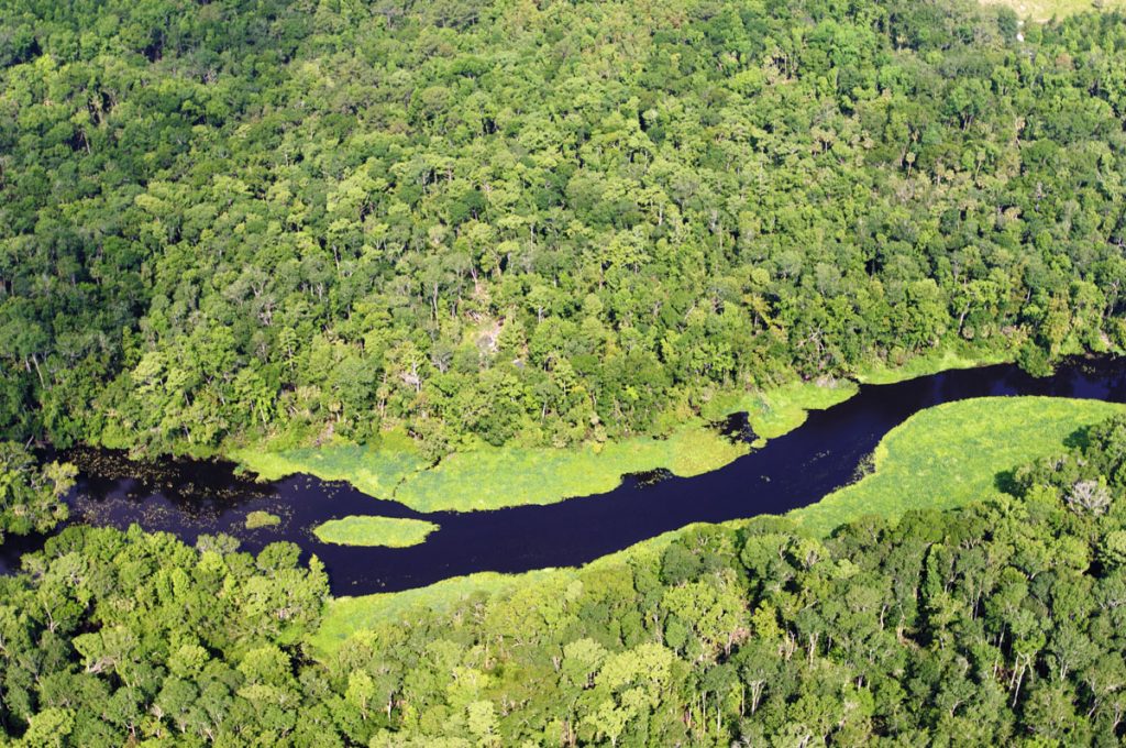 Aerial - Wekiva River Aerial of the Wekiva River