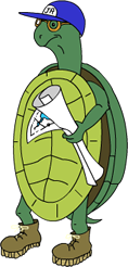 turtle Cartoon illustration of a turtle