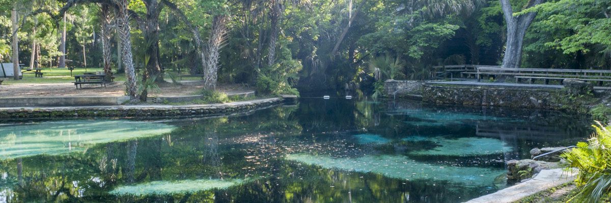 Juniper Springs in Marion County