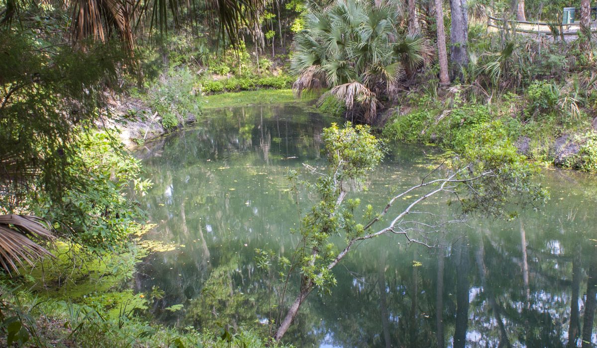 Gemini Springs in Volusia County