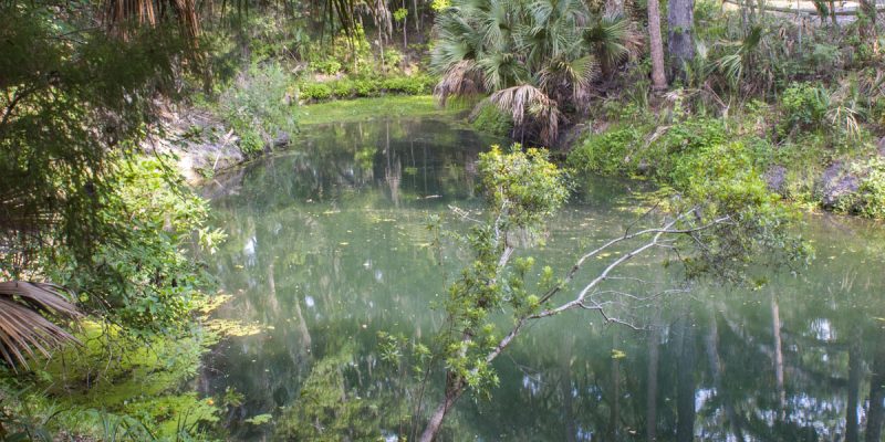 Gemini Springs Gemini Springs in Volusia County
