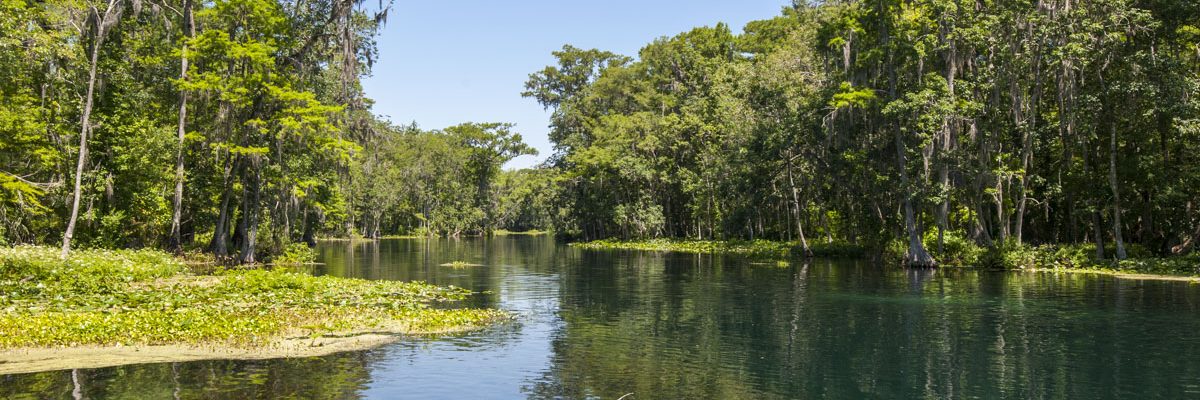 Silver River in Marion County