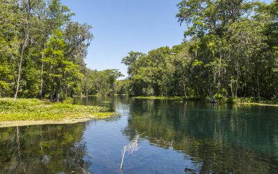 Silver River in Marion County