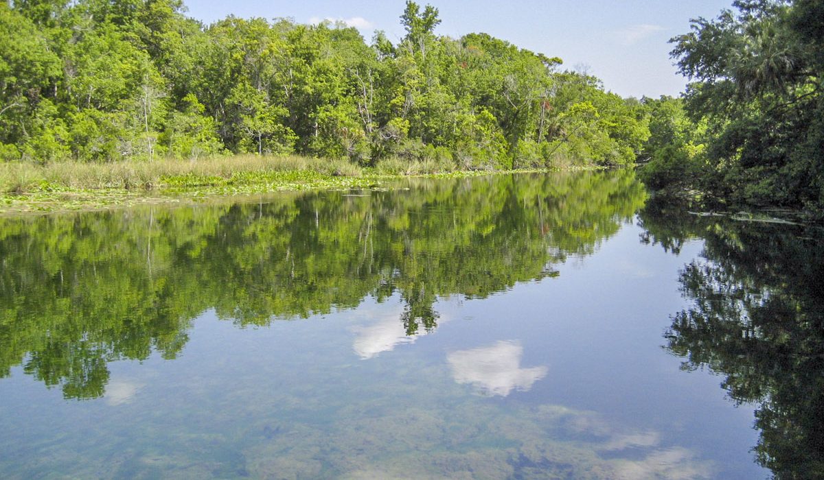 Alexander Springs in Lake County