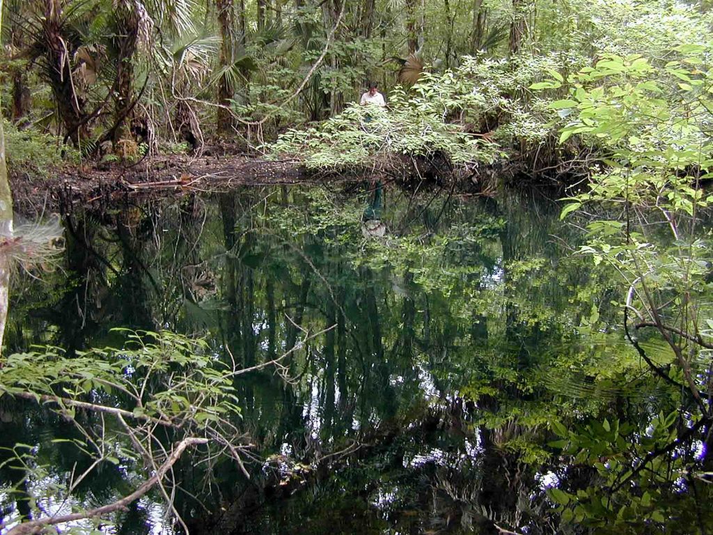 Blackwater Springs in Lake County Blackwater Springs in Lake County
