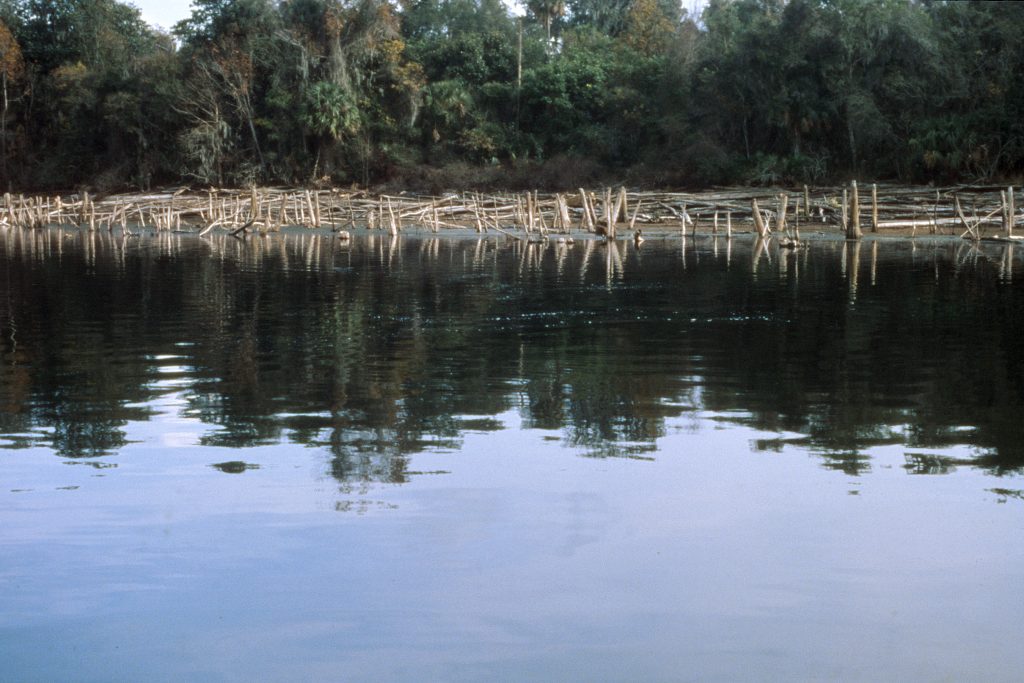 Blue Spring in Marion County