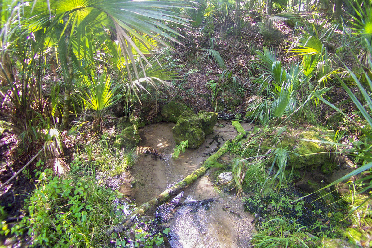 Boulder Spring – SJRWMD