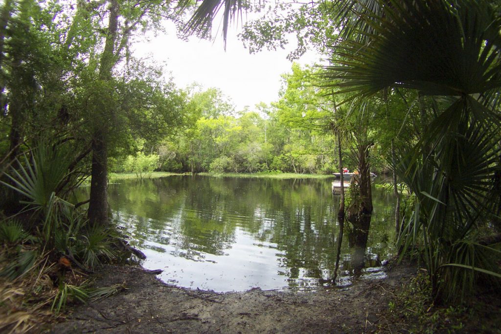 Cannon Springs (was Wells Landing Spring) Cannon Springs in Marion County