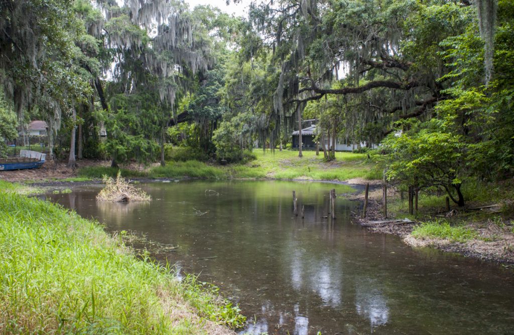 Clifton Springs Clifton Springs in Seminole County