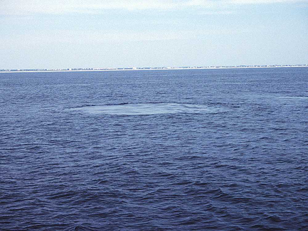 Crescent Beach Submarine Spring in St. Johns County