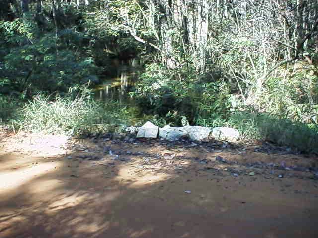 Double Run Spring in Lake County