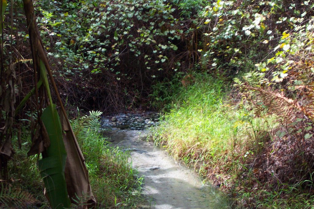Drotty Spring Drotty Spring in Lake County