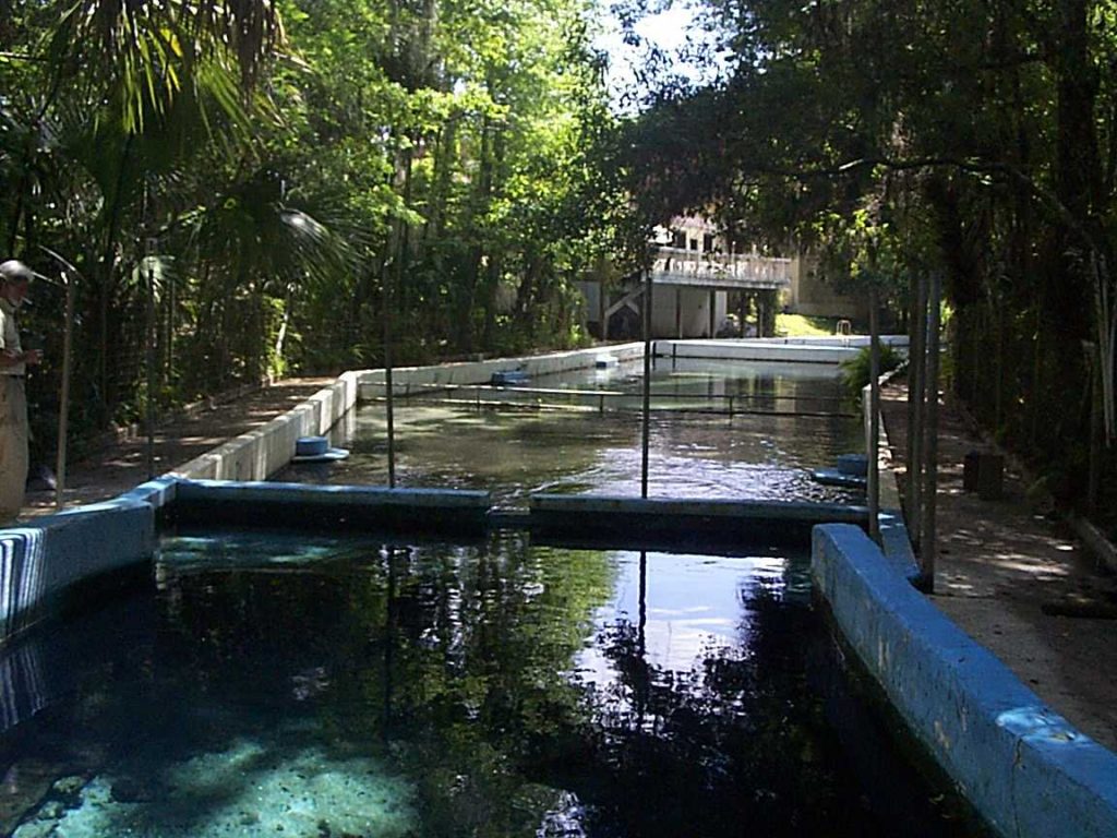 Glen Springs in Alachua County