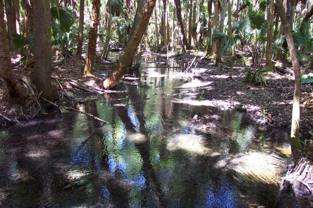 Markee Spring Markee Spring in Lake County