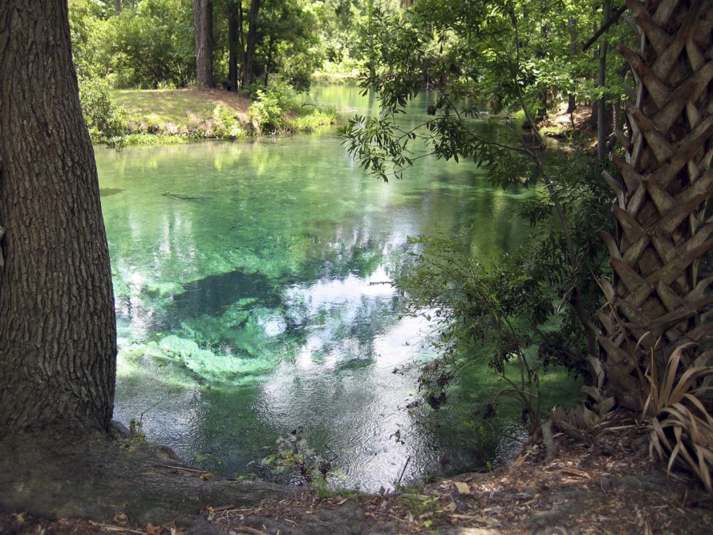 Messant Spring in Lake County