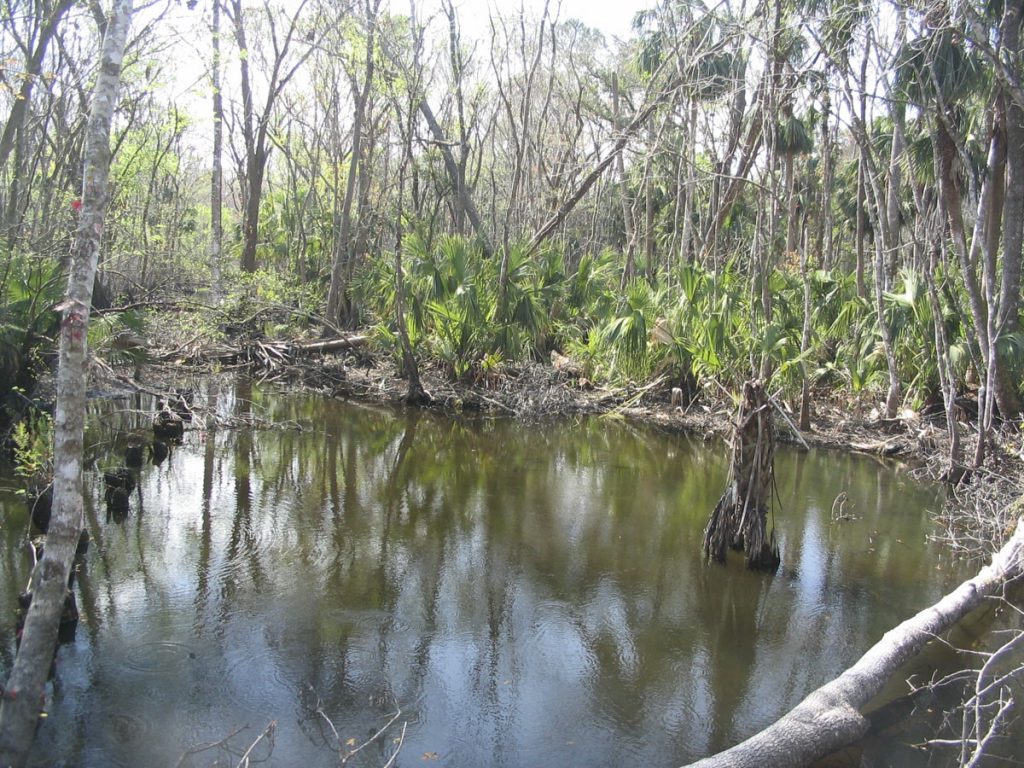 Moccasin Springs in Lake County