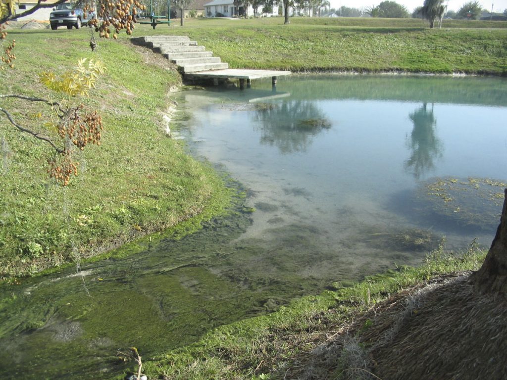 Mooring Cove Springs Mooring Cove Springs in Lake County
