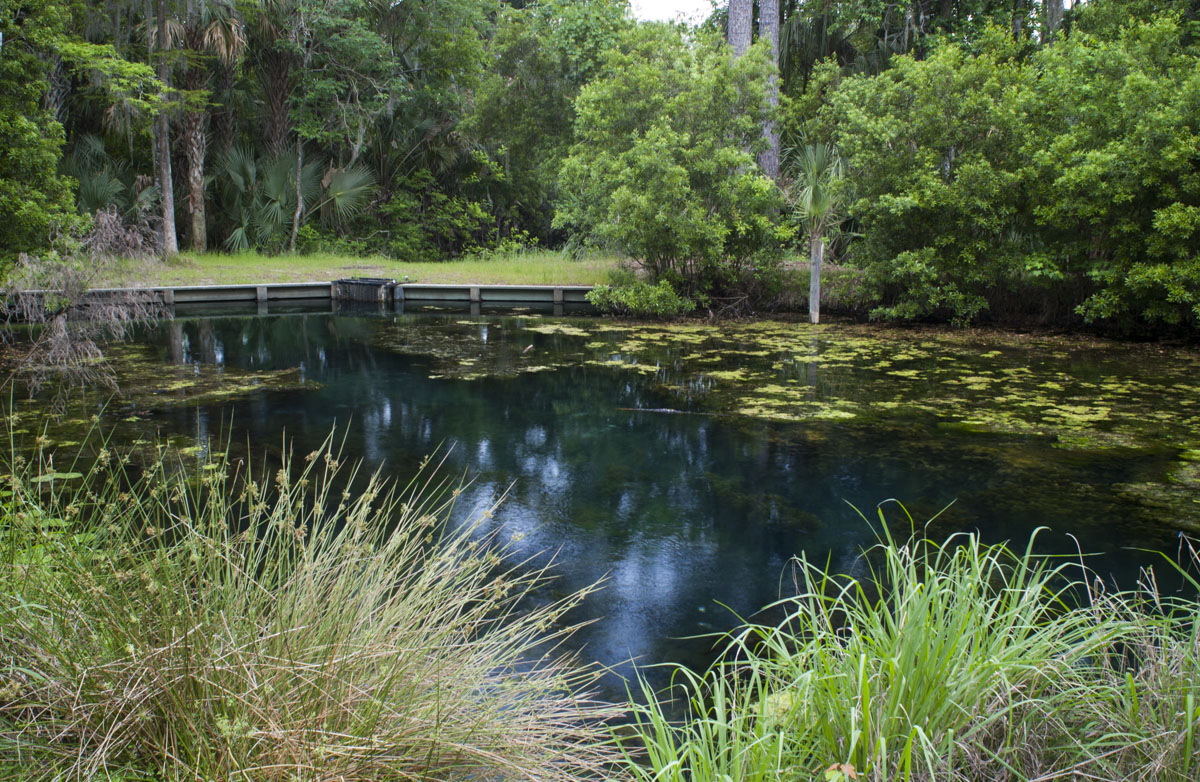 Mud Spring – SJRWMD