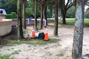 Purple pipes coming out of the ground