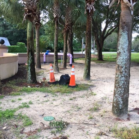 Purple pipes coming out of the ground