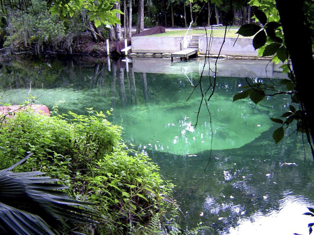 Nova Spring Nova Spring in Seminole County
