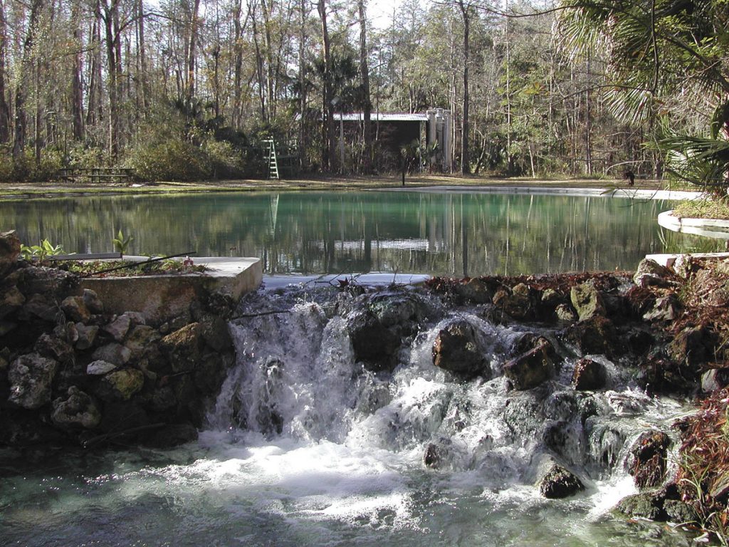 Orange Spring Orange Spring in Marion County