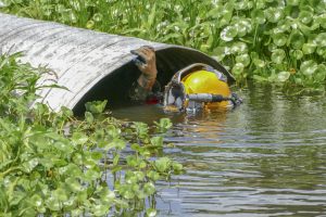 A diver inspecting a large culvert