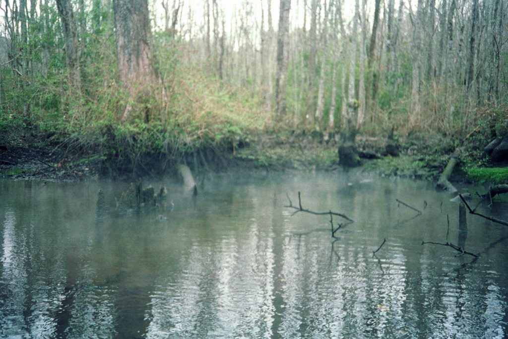 Pottsburg Creek Spring Pottsburg Creek Spring in Duval County
