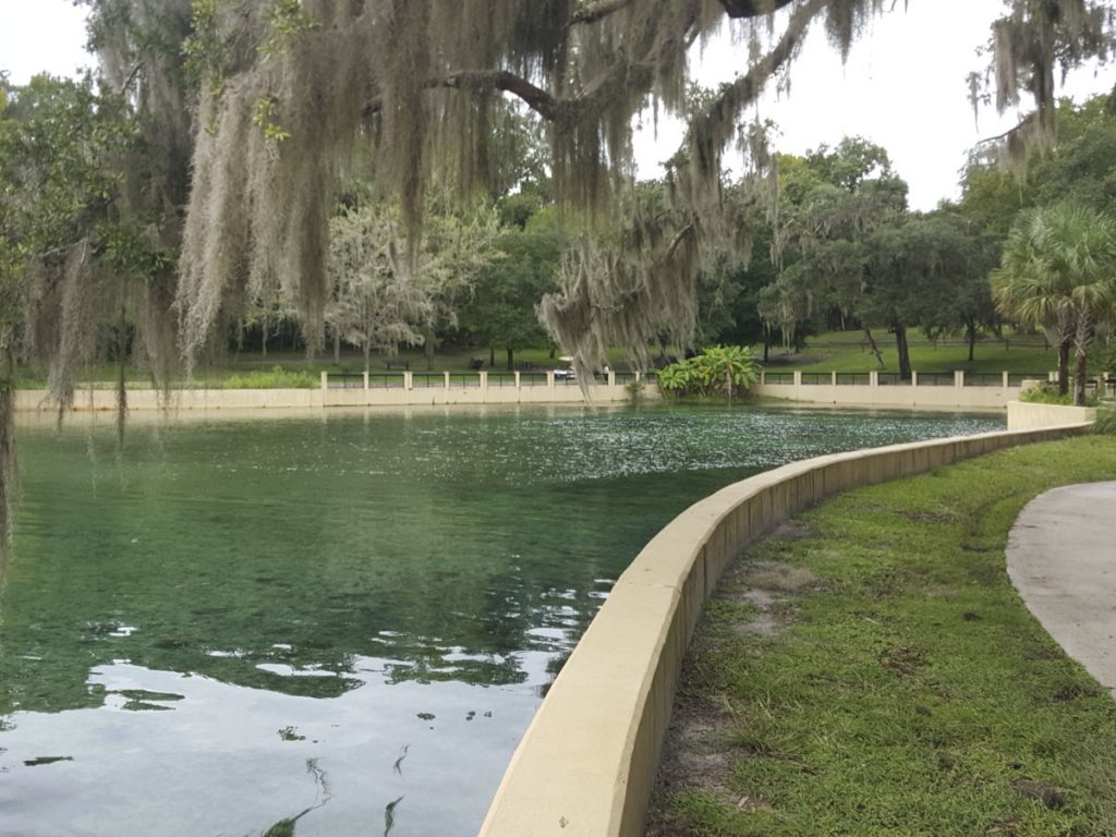 Salt Springs in Marion County