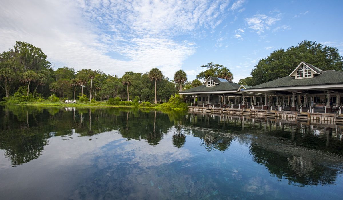 Silver Springs Group in Marion County